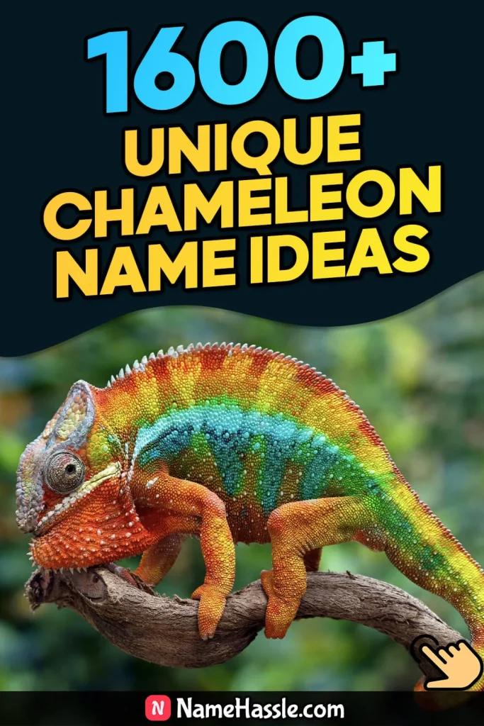 Cool And Funny Chameleon Names Ideas (Generator)
