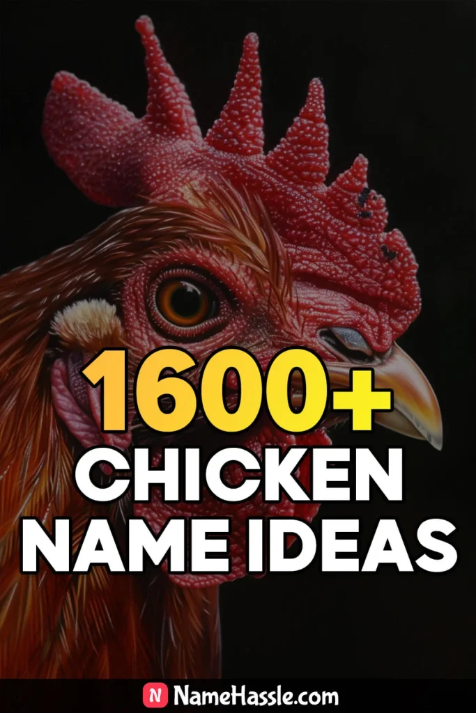 Cool And Funny Chicken Names Ideas