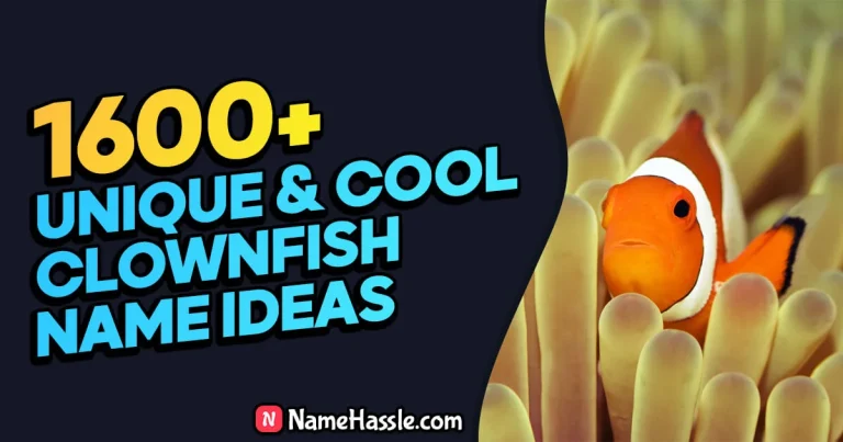1715+ Cool And Funny Clownfish Names Ideas (Generator)