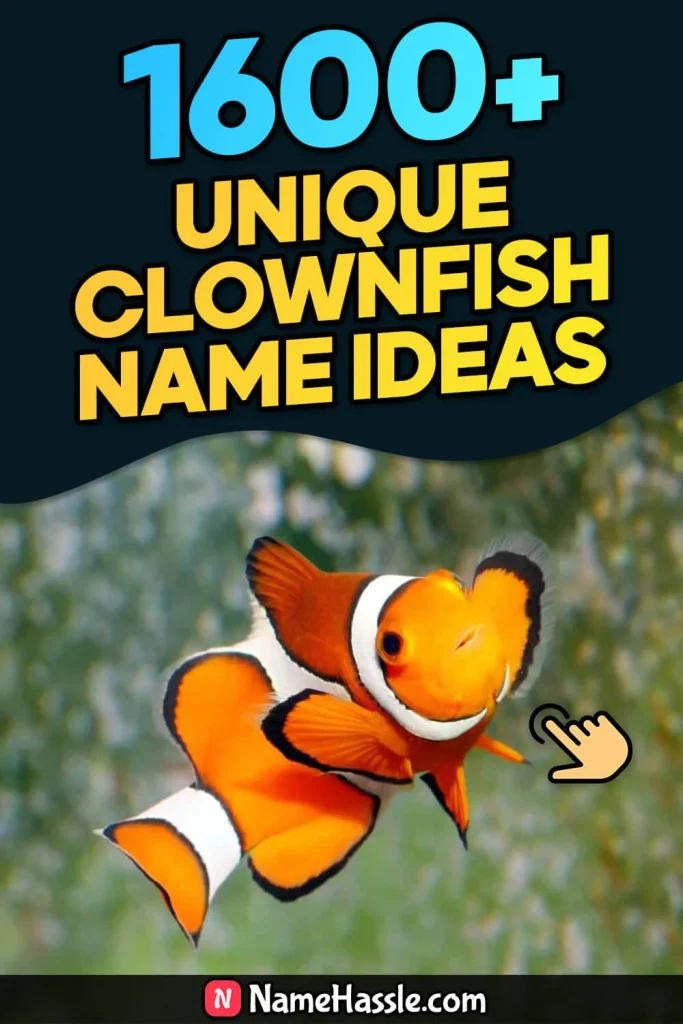 Cool And Funny Clownfish Names Ideas (Generator)