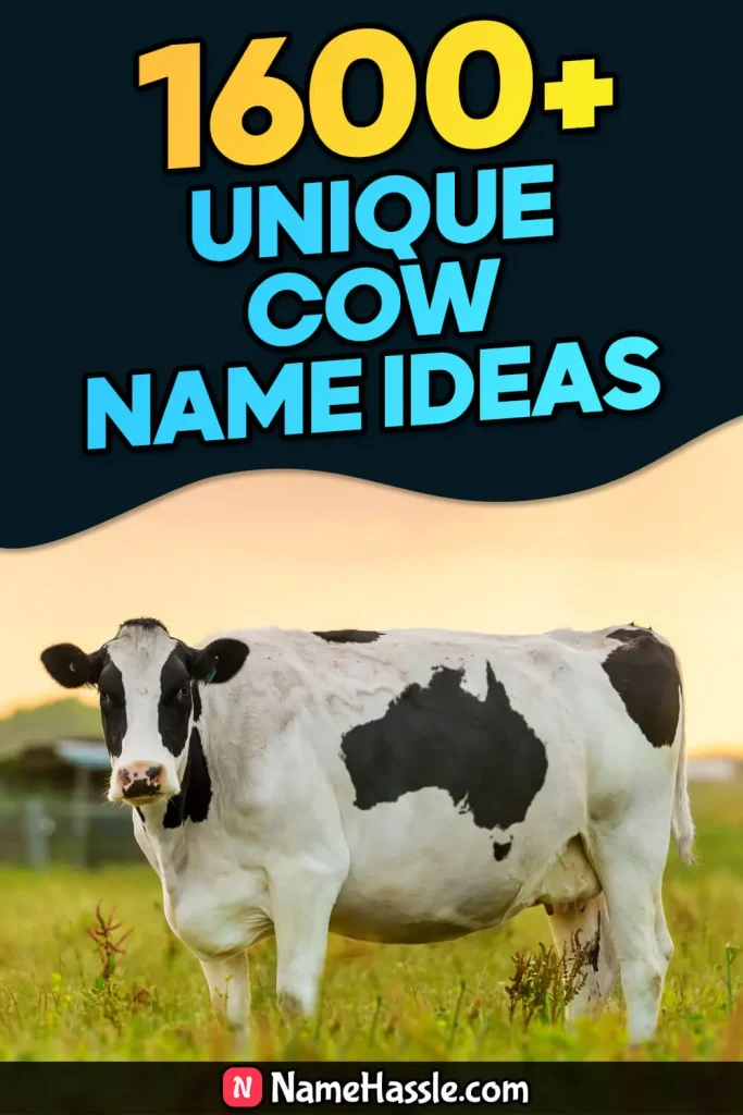 Cool And Funny Cow Names Ideas (Generator)