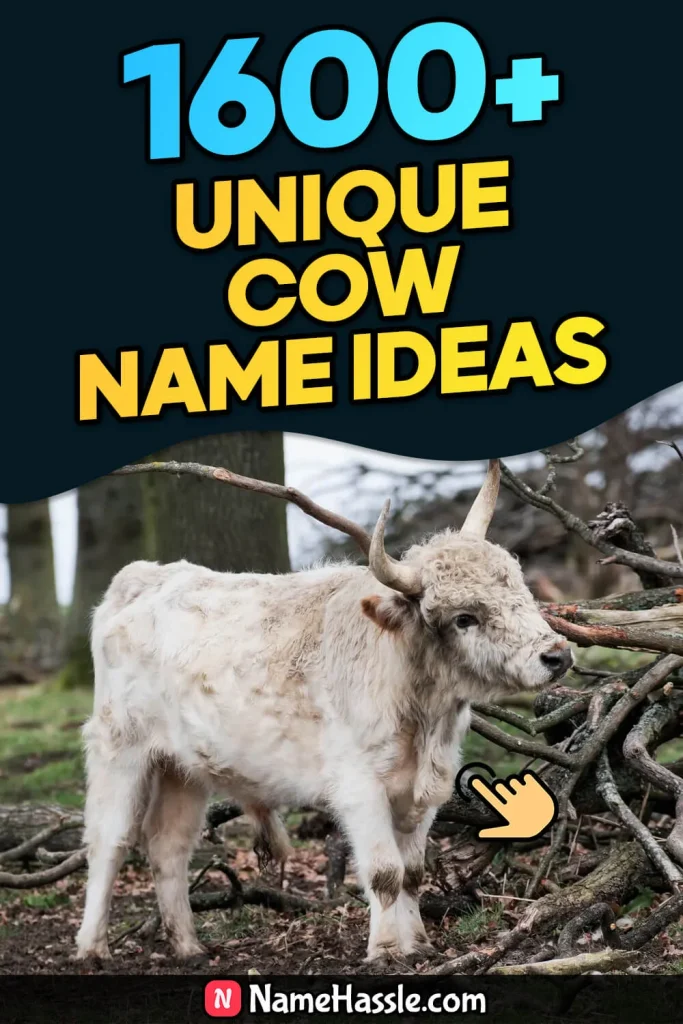 Cool And Funny Cow Names Ideas (Generator)