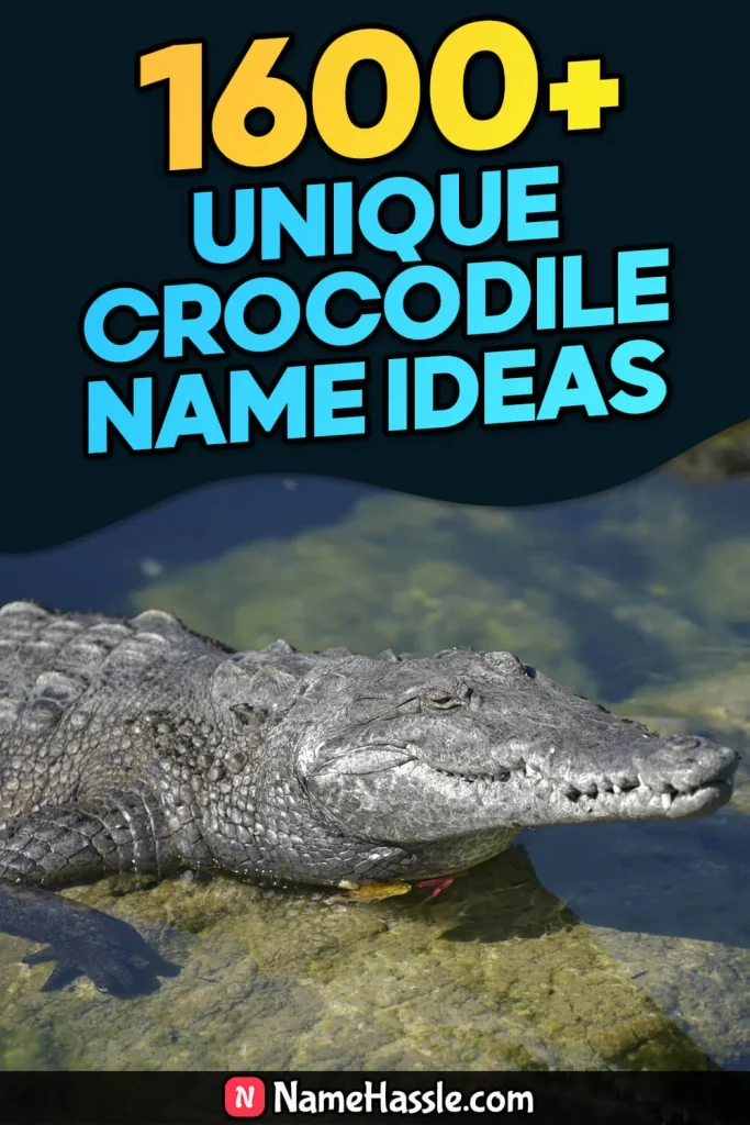 Cool And Funny Crocodile Names Ideas (Generator)