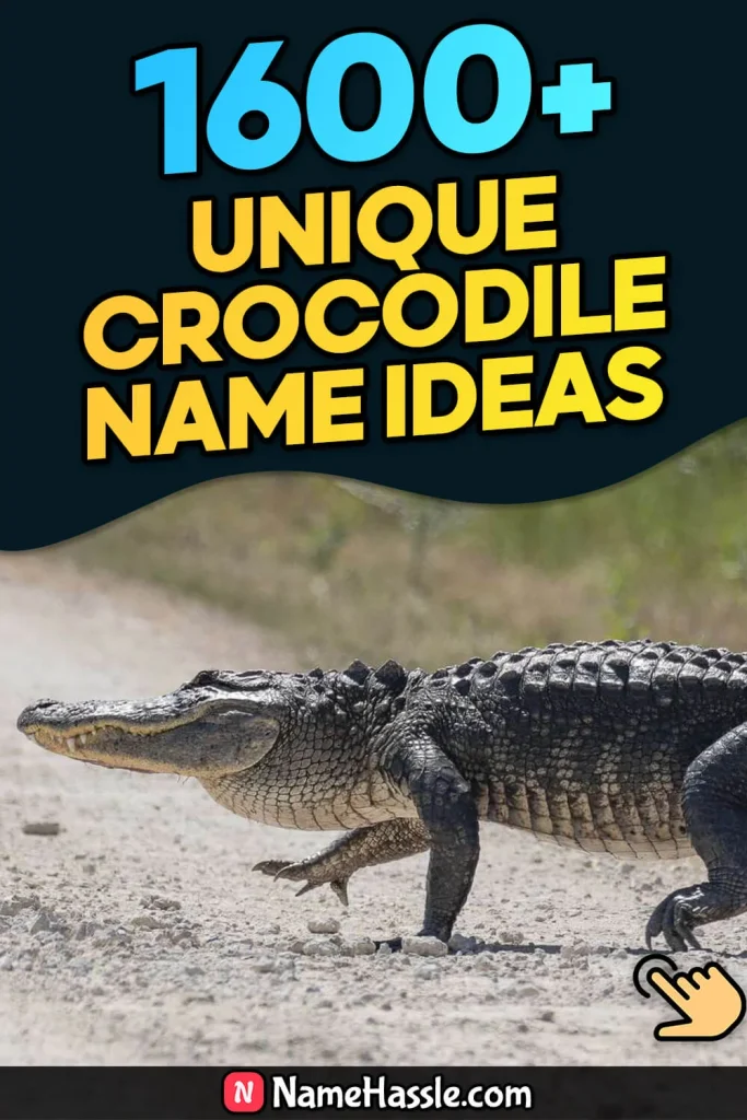 Cool And Funny Crocodile Names Ideas (Generator)