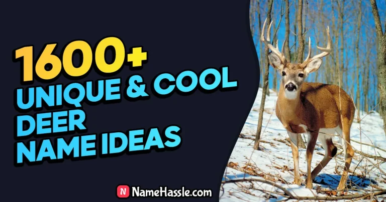 1855+ Cool And Funny Deer Names Ideas (Generator)