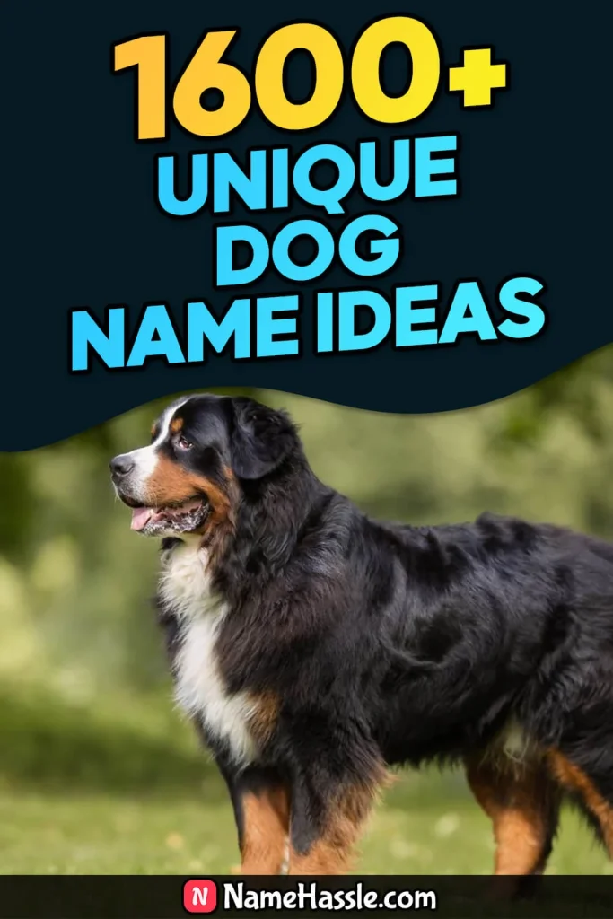 Cool And Funny Dog Names Ideas (Generator)