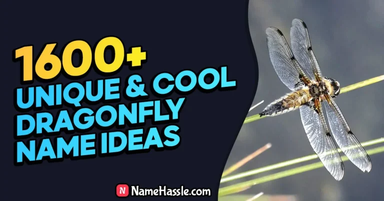1690+ Cool And Funny Dragonfly Names Ideas (Generator)