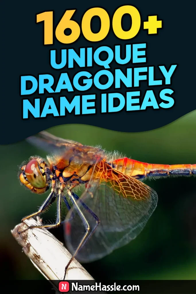 Cool And Funny Dragonfly Names Ideas (Generator)