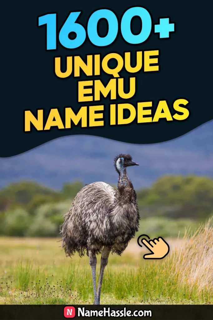 Cool And Funny Emu Names Ideas (Generator)