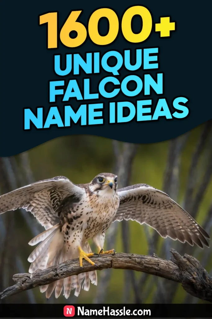 Cool And Funny Falcon Names Ideas (Generator)
