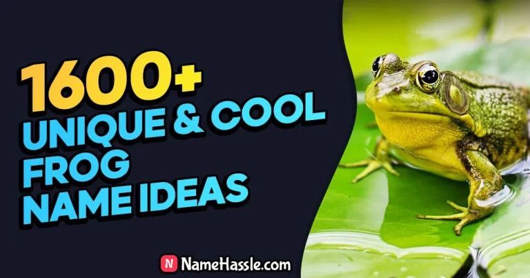1680+ Cool And Funny Frog Names Ideas (Generator)