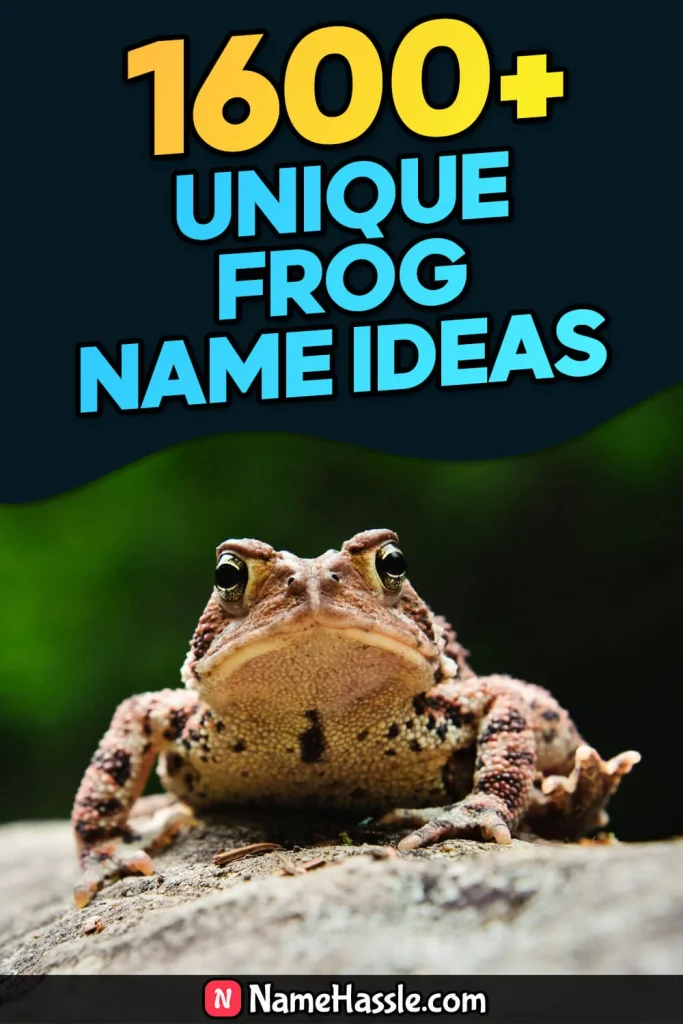 Cool And Funny Frog Names Ideas (Generator)