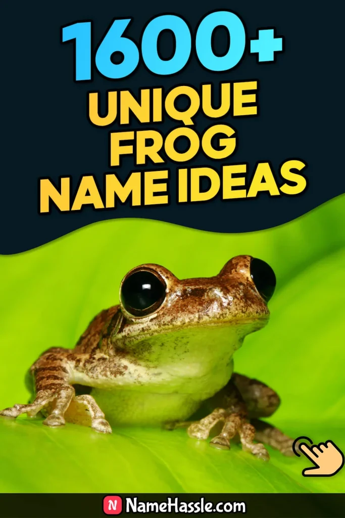 Cool And Funny Frog Names Ideas (Generator)
