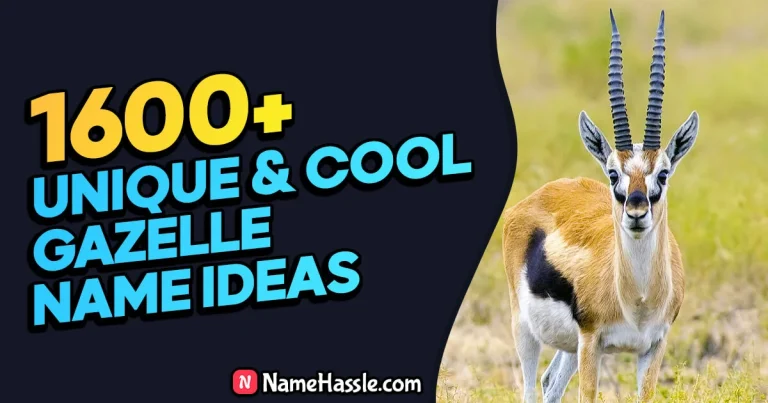 Cool And Funny Gazelle Names Ideas (Generator)