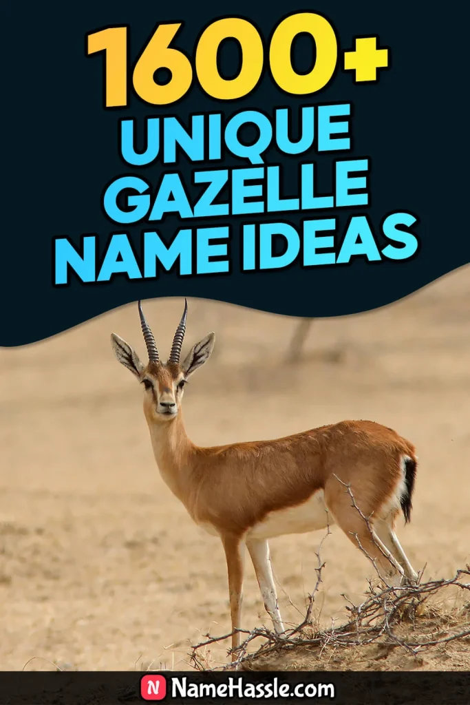 Cool And Funny Gazelle Names Ideas (Generator)