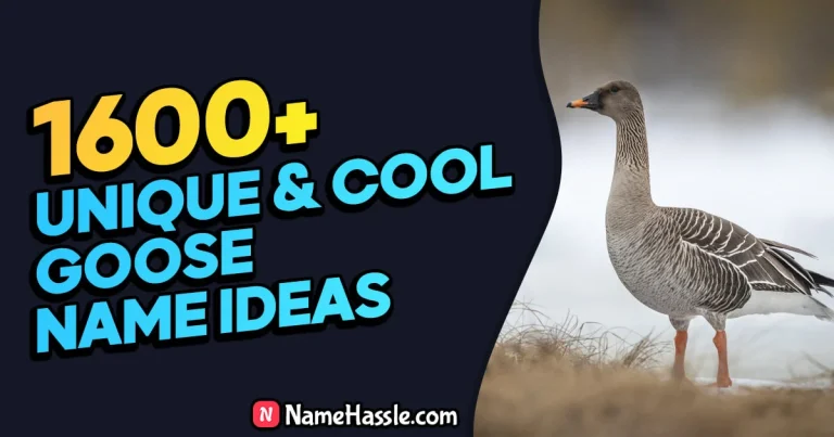 Cool And Funny Goose Names Ideas (Generator)