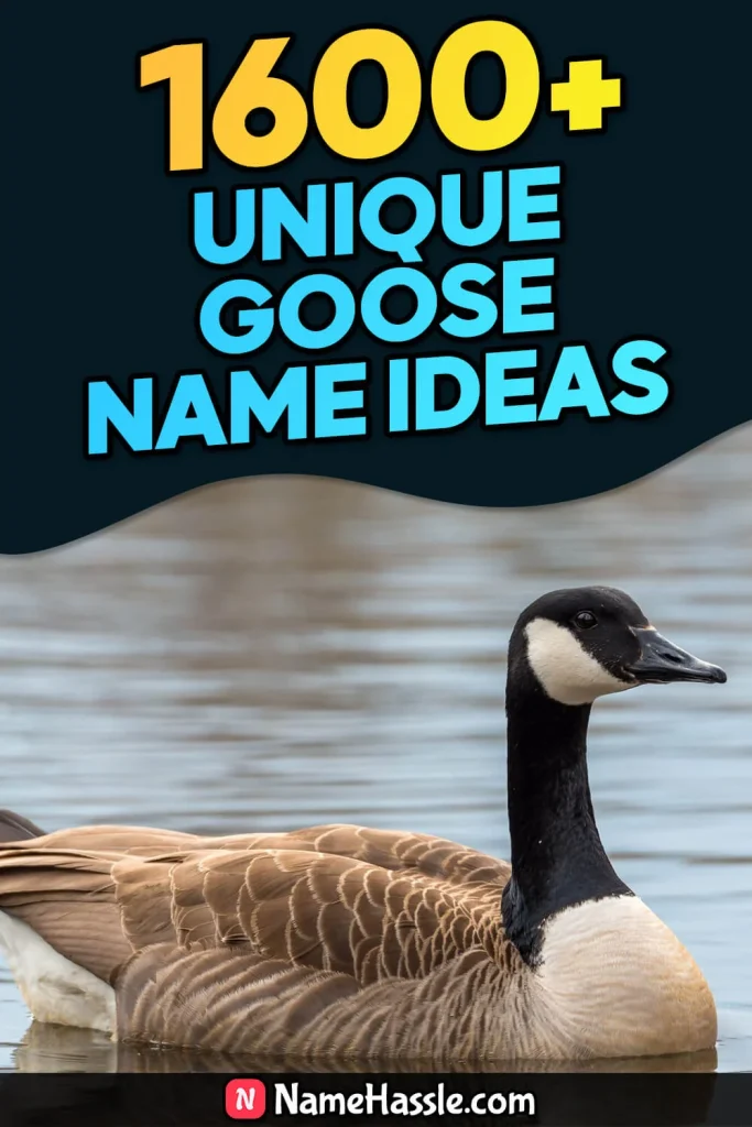 Cool And Funny Goose Names Ideas (Generator)