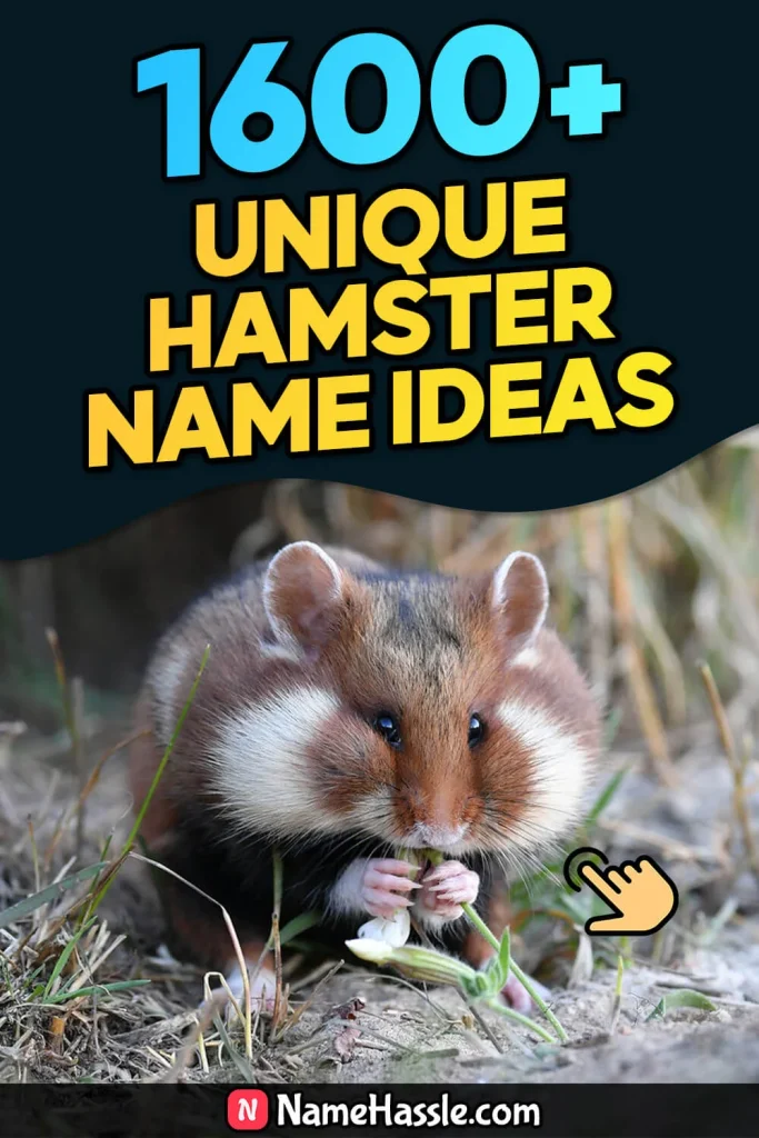 Cool And Funny Hamster Names Ideas (Generator)