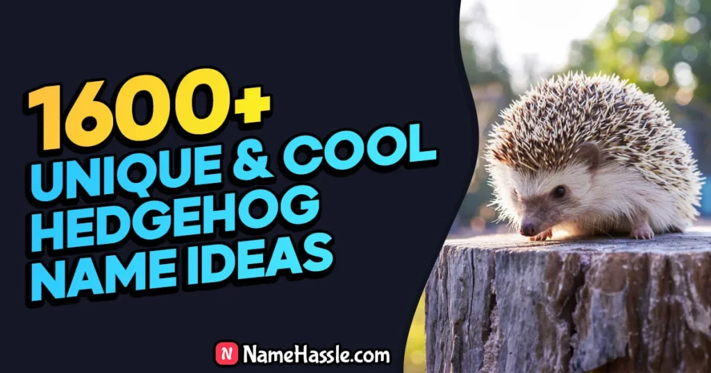 Cool And Funny Hedgehog Names Ideas (Generator)