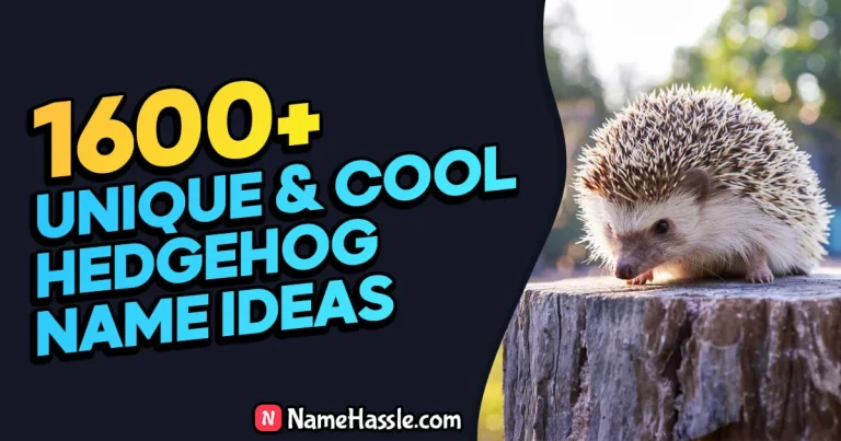 1605+ Cool And Funny Hedgehog Names Ideas (Generator)