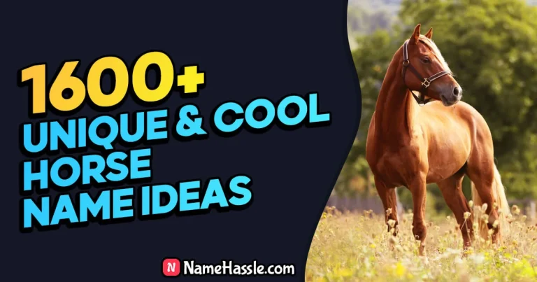 1895+ Cool And Funny Horse Names Ideas (Generator)