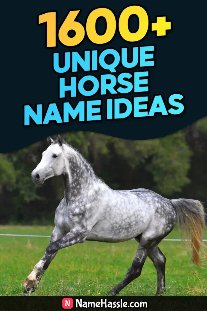 Cool And Funny Horse Names Ideas (Generator)