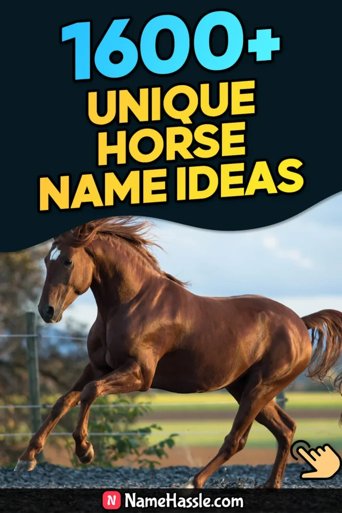 Cool And Funny Horse Names Ideas (Generator)