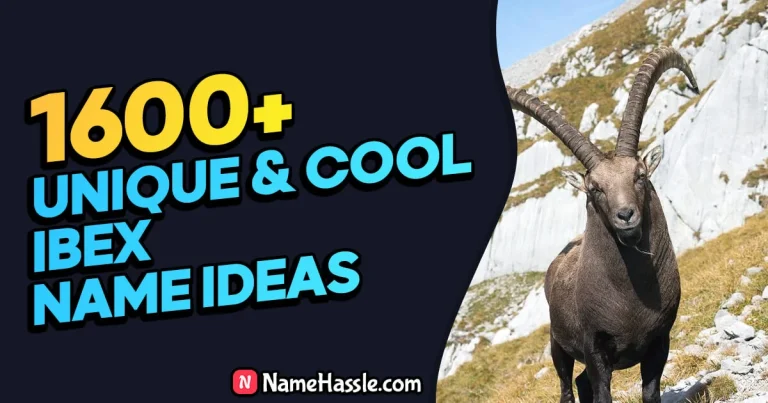 1610+ Cool And Funny Ibex Names Ideas (Generator)