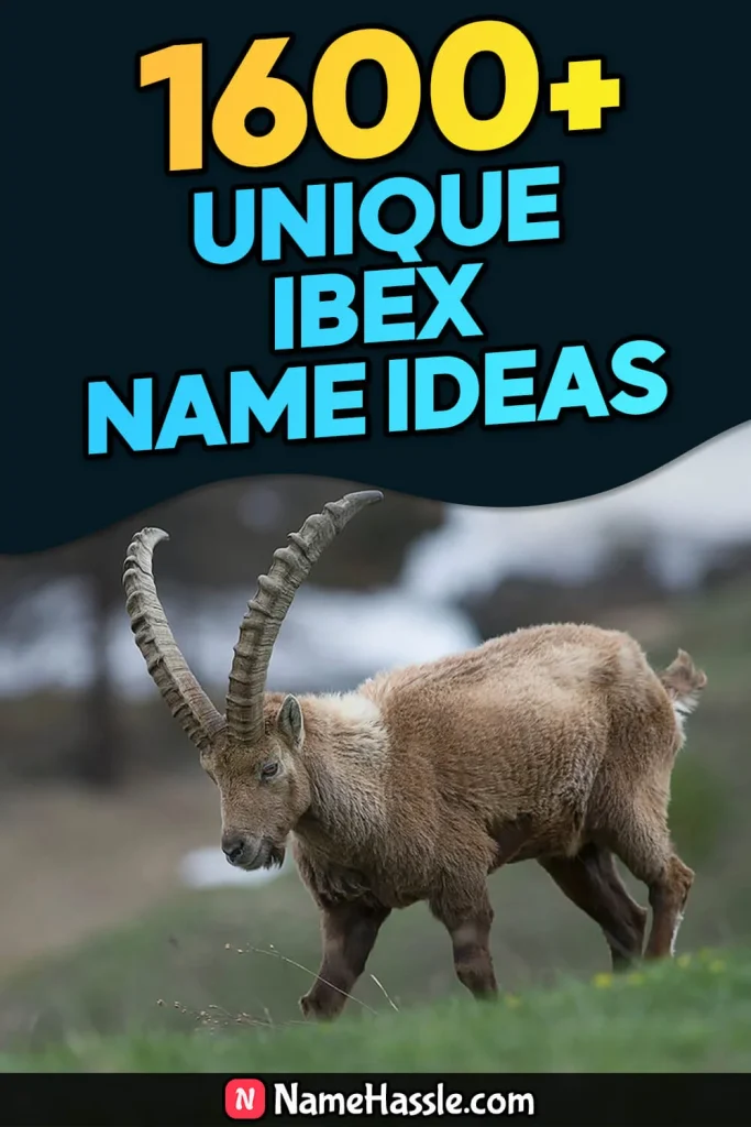 Cool And Funny Ibex Names Ideas (Generator)