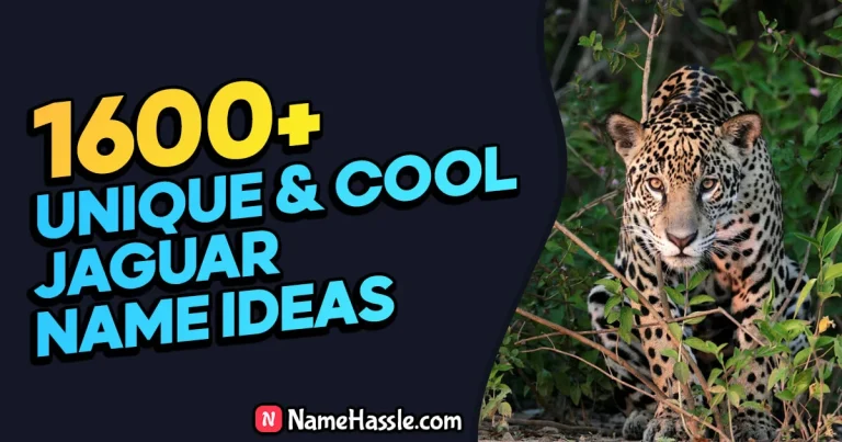 Cool And Funny Jaguar Names Ideas (Generator)