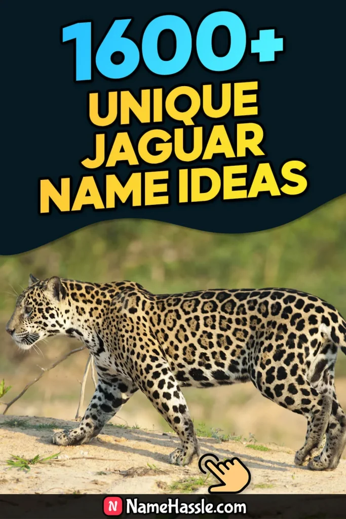 Cool And Funny Jaguar Names Ideas (Generator)