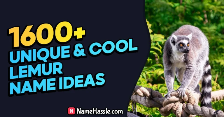 1655+ Cool And Funny Lemur Names Ideas (Generator)
