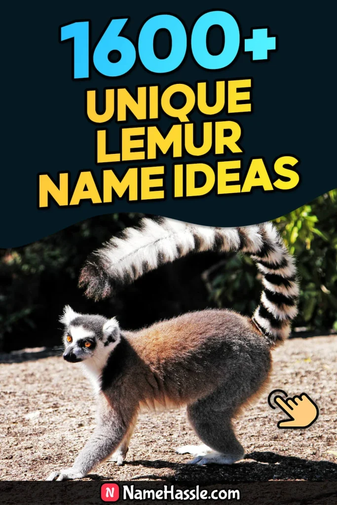 Cool And Funny Lemur Names Ideas (Generator)
