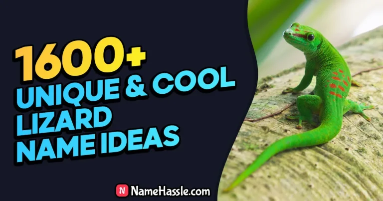 1700+ Cool And Funny Lizard Names Ideas (Generator)