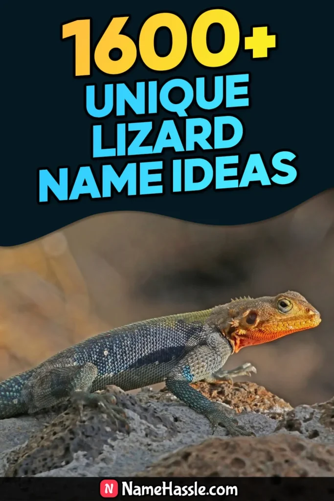Cool And Funny Lizard Names Ideas (Generator)