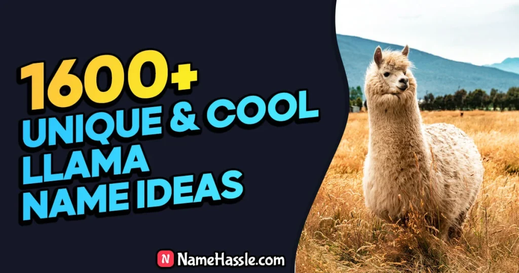 Cool And Funny Llama Names Ideas (Generator)