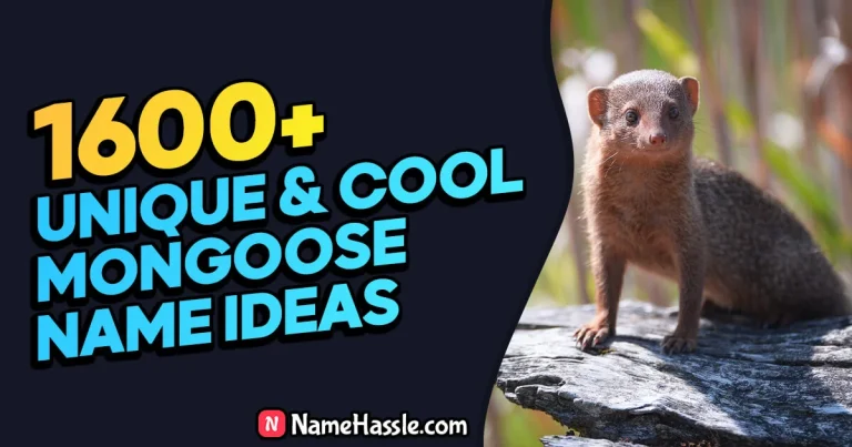 1645+ Cool And Funny Mongoose Names Ideas (Generator)