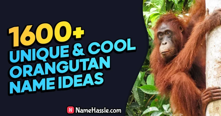 1650+ Cool And Funny Orangutan Names Ideas (Generator)