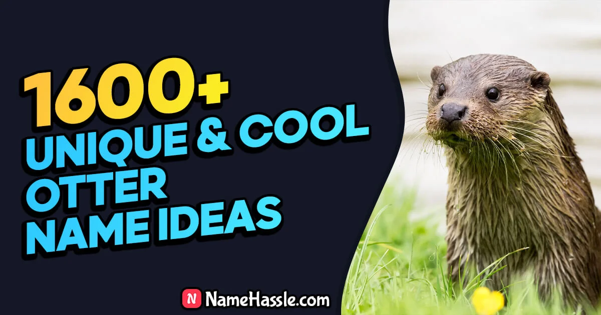 Cool And Funny Otter Names Ideas (Generator)