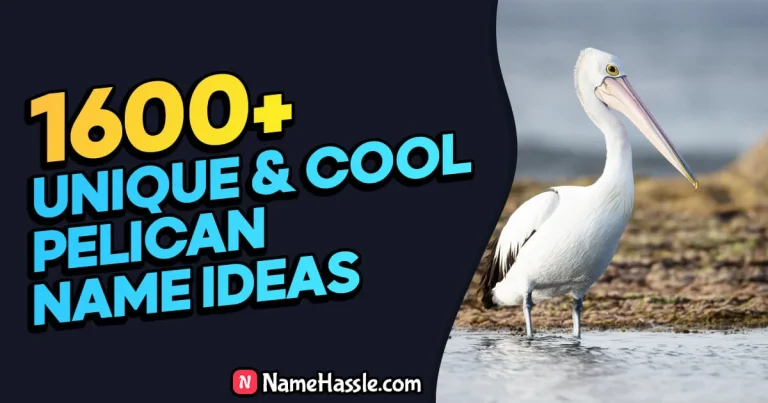 1630+ Cool And Funny Pelican Names Ideas (Generator)