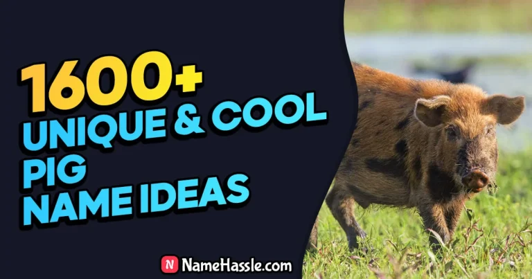 1665+ Cool And Funny Pig Names Ideas (Generator)