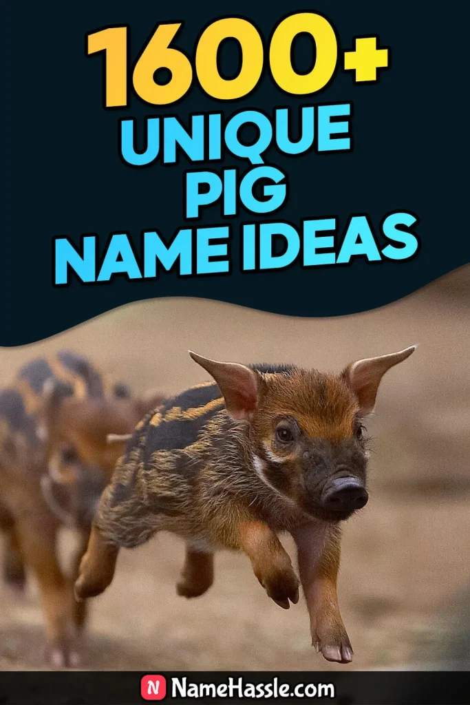 Cool And Funny Pig Names Ideas (Generator)