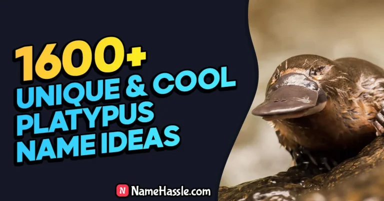 1865+ Cool And Funny Platypus Names Ideas (Generator)
