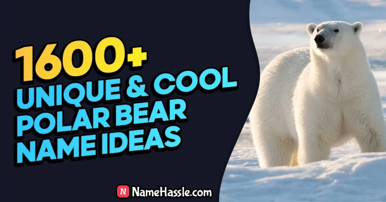 1765+ Cool And Funny Polar Bear Names Ideas (Generator)