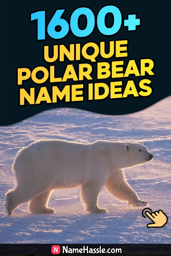 Cool And Funny Polar Bear Names Ideas (Generator)