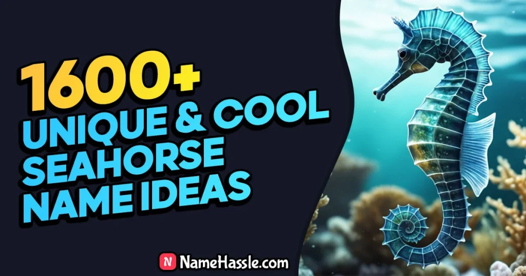 Cool And Funny Seahorse Names Ideas (Generator)