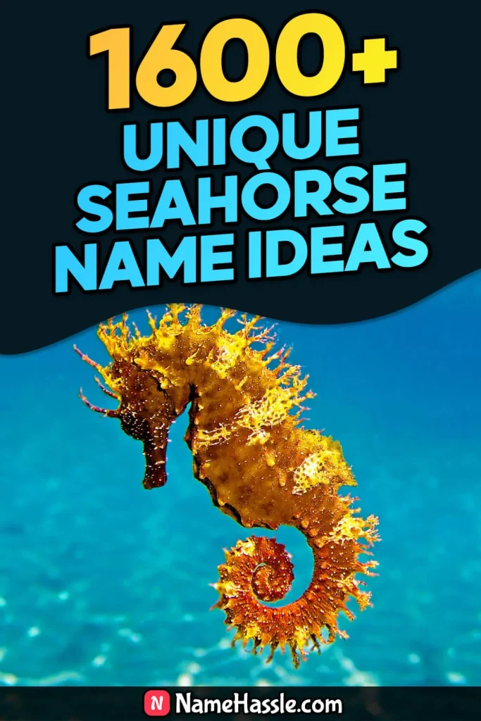 Cool And Funny Seahorse Names Ideas (Generator)