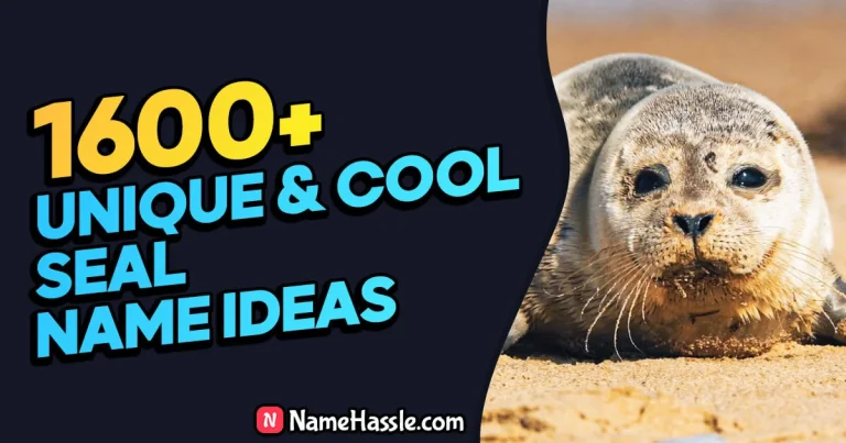 1730+ Cool And Funny Seal Names Ideas (Generator)
