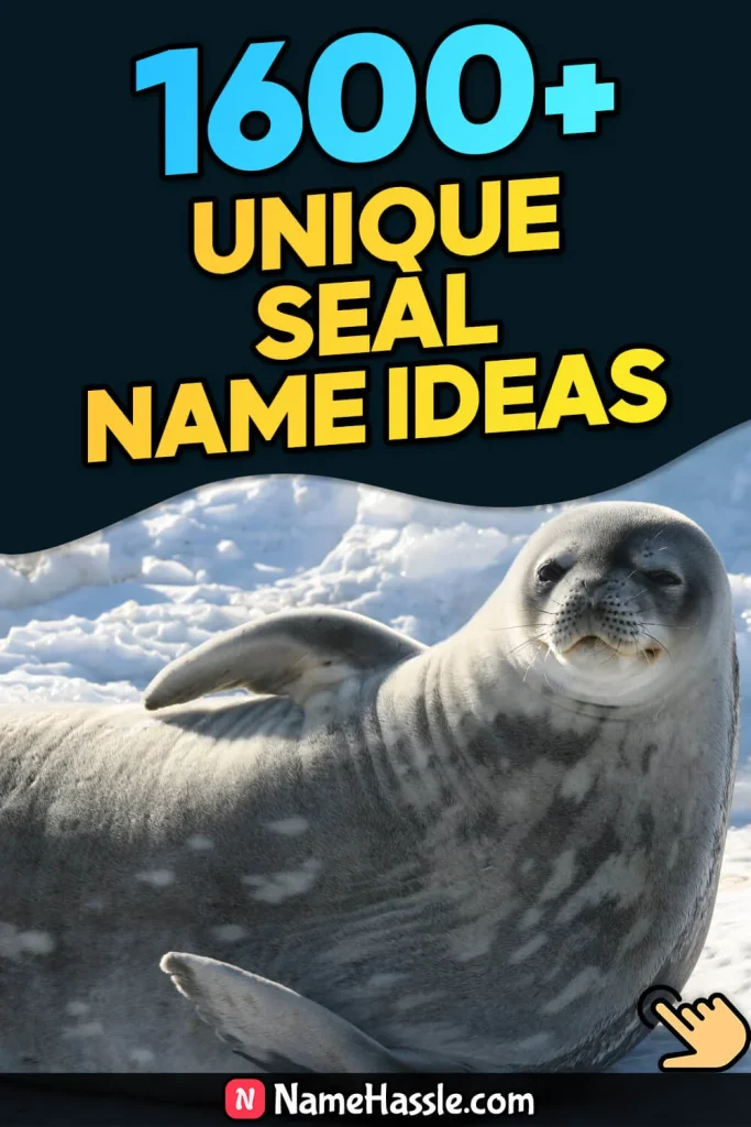 Cool And Funny Seal Names Ideas (Generator)