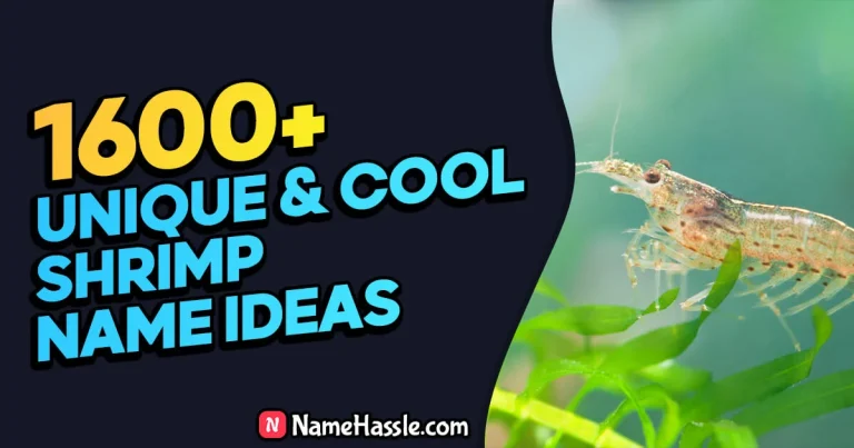 Cool And Funny Shrimp Names Ideas (Generator)